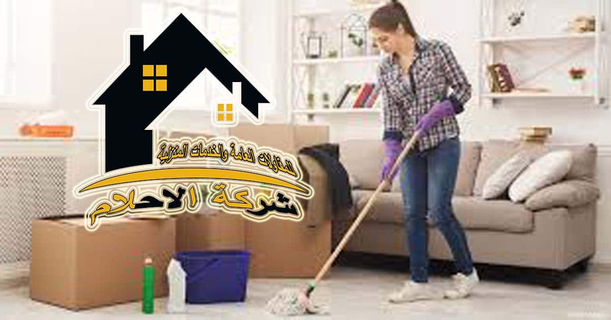 أساسيات تنظيف المنزل