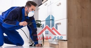 شركة مكافحة حشرات بالدوادمي