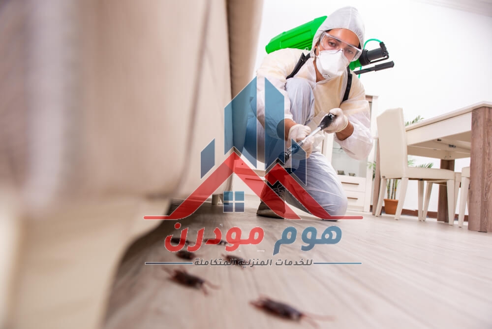 شركة رش مبيدات بالرياض